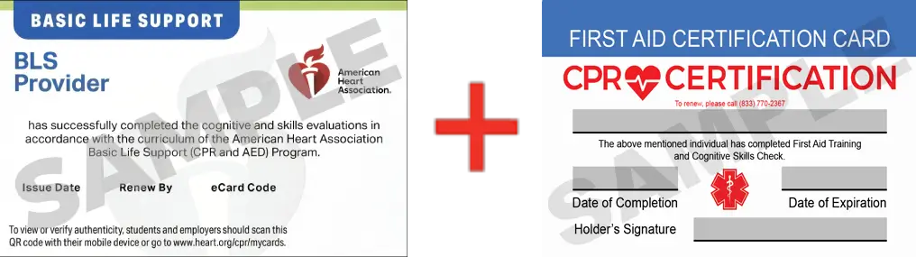 Sample American Heart Association AHA BLS CPR Card Certification and First Aid Certification Card from CPR Certification Frisco