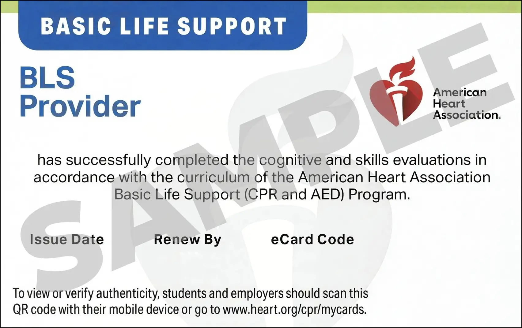 Sample American Heart Association AHA BLS CPR Card Certification from CPR Certification Frisco